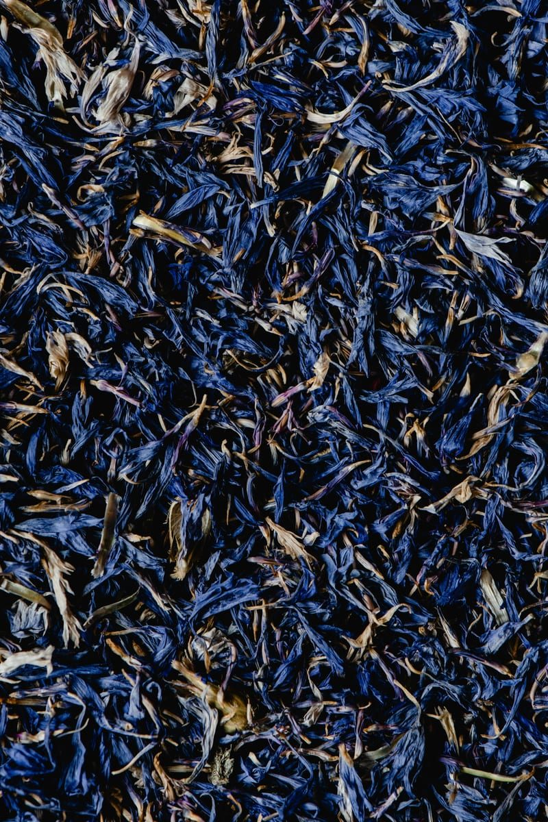 Blue Matcha
