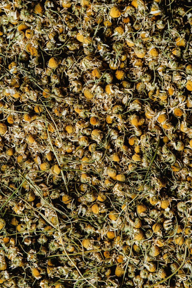 Chamomile Flowers