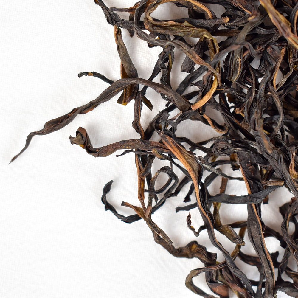 Phoenix Dancong Oolong Tea